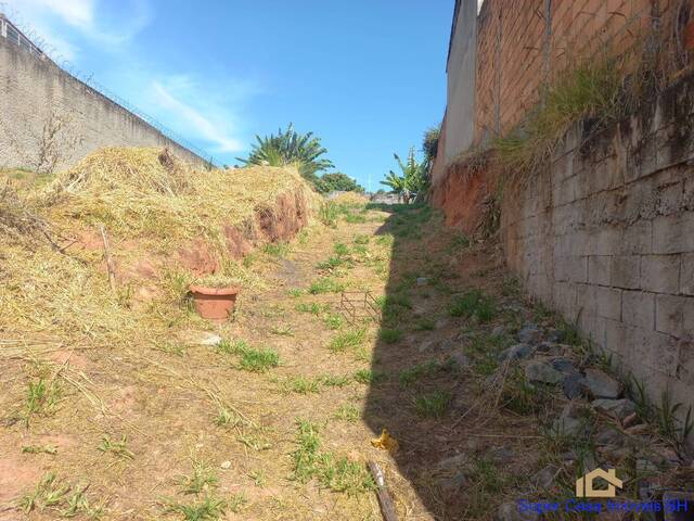 Área para Venda em Belo Horizonte - 3