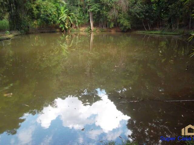 #119 - Chácara para Venda em Sabará - MG - 3